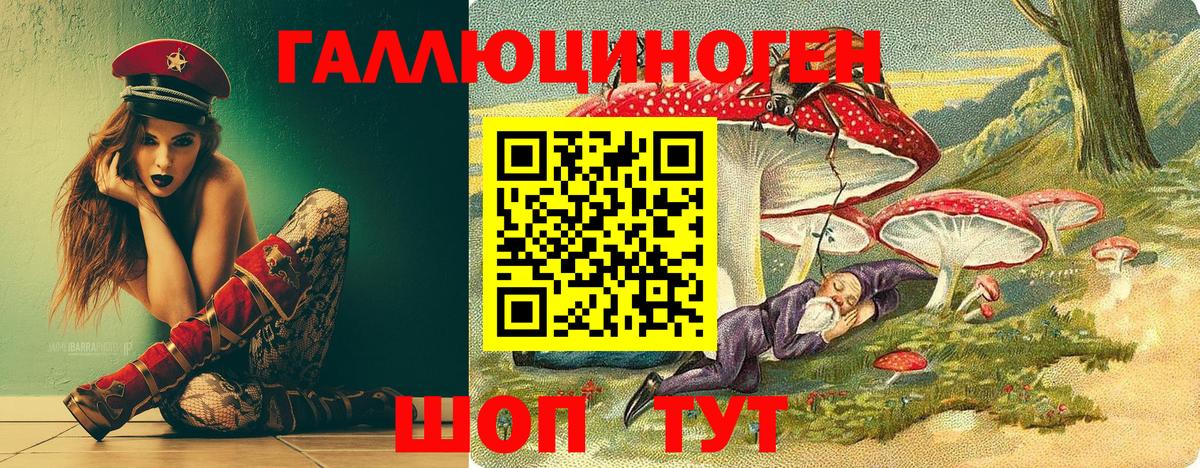 Галлюциногенные грибы MAGIC MUSHROOMS  Вход с VPN  Псилоцибиновые грибы Cubensis  Новокузнецк 